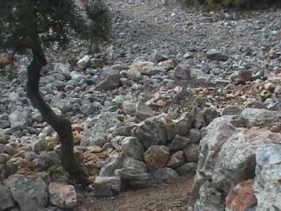 PIEDRA (5)  CAMPO ESPAMICA